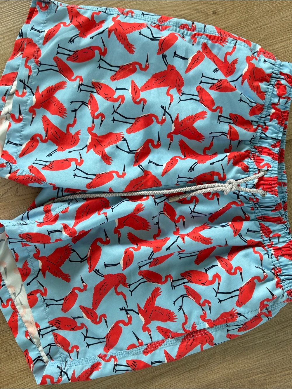 Men Blue mint Swim Shorts with Red Flamingo Print - Blue